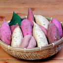 【ふるさと納税】鹿児島さつまいも 5品種 食べ比べ 6kg 2025年10月上旬より発送A3-54【配送不可地域:離島】【1167097】