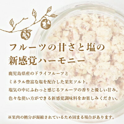 【ふるさと納税】ドライフルーツソルト (とまと・たんかん・キウイなど)4種セット 果実塩 BB-199 【1167927】