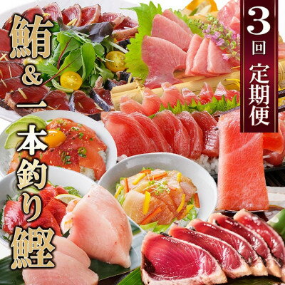 【ふるさと納税】定期便(3ケ月)枕崎ふるさと納税　まぐろ&一本釣りかつお LL-6001【配送不可地域：離島】【1457813】