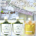 【ふるさと納税】発酵ジェノベーゼソース×発酵ジンジャーシロップA5-14【配送不可地域:離島】【1482046】