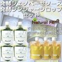 【ふるさと納税】発酵ジェノベーゼソース×発酵ジンジャーシロップ(計7個セット)C0-71【配送不可地域:離島】【1482049】