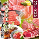 【ふるさと納税】定期便(3回配送)黒毛和牛・黒豚・カツオ LL-6036_ 鰹 たたき かつお 肉 豚肉 牛肉 ハンバーグ ロース 切り落とし 生ハム しゃぶし...