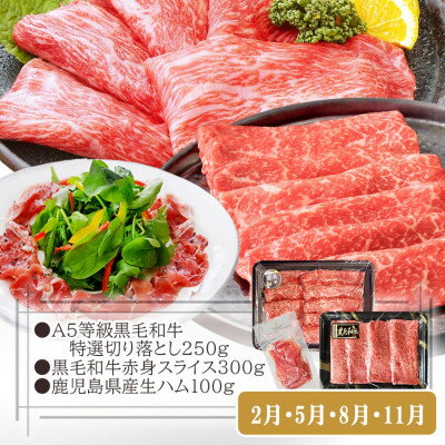 鹿児島県枕崎市の画像3