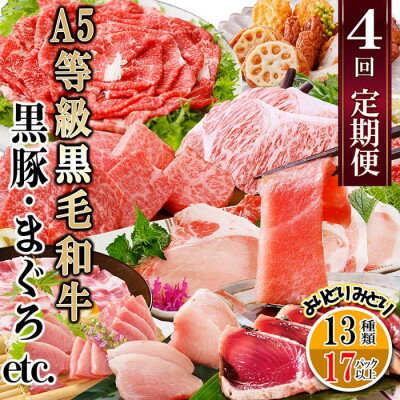 【ふるさと納税】定期便4回配送　A5等級黒毛和牛・黒豚・まぐろetc FF-6002_ 定期便 黒毛和牛 黒豚 マグロ 鹿籠豚 ハンバーグ 切り落とし さつま揚げ カツオのたたき 鰹 人気 おすすめ 送料無料 ギフト 贈答 A5 鹿児島 枕崎 【配送不可地域：離島】【1487330】のサムネイル