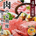 黒豚 【ふるさと納税】定期便4回配送　肉の定期便　EE-6016【配送不可地域：離島】【1491491】