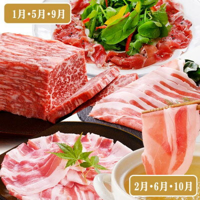 【ふるさと納税】定期便4回配送　肉の定期便　EE-6016【配送不可地域：離島】【1491491】