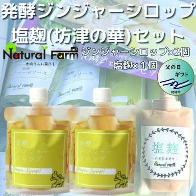 【ふるさと納税】【父の日】発酵ジンジャーシロップ&塩麹A7-11F【配送不可地域:離島】【1499944】