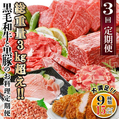 総重量3Kg越え、鹿児島県産黒毛和牛と黒豚のお料理定期便(3回配送) EE0-0002_ 定期便 黒毛和牛 豚ロース 黒豚 牛すじ ミンチ 肉 おすすめ 送料無料 贈答 ギフト [配送不可地域:離島]