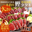 【ふるさと納税】【数量限定】【訳あり】大きいサイズの一本釣り炭火焼鰹たたき A0-36_ かつお カツオ 鰹 かつおのたたき 訳アリ わけあり 焼き鰹 焼鰹 鹿...