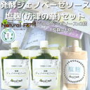 【ふるさと納税】【のし付き・お中元】発酵ジェノベーゼソース&塩麹A5-11C【配送不可地域:離島】【1509454】
