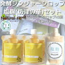 【ふるさと納税】【のし付き・お中元】発酵ジンジャーシロップ&塩麹A7-11C【配送不可地域:離島】【1509457】