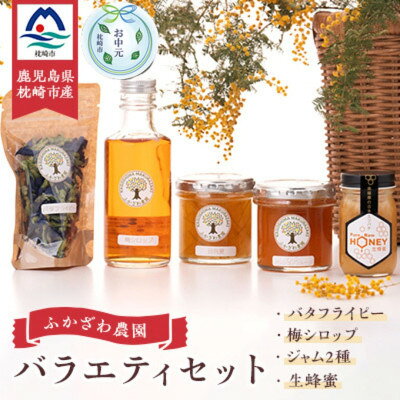 【のし付き・お中元】生蜂蜜・梅シロップ・ジャム2種・バタフライピーバラエティセット A8-5C【配送不可地域：離島】【1511352】