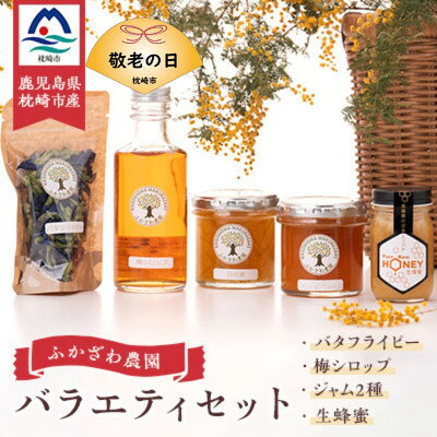 【敬老の日】日本ミツバチの生蜂蜜・梅シロップ・ジャム2種・バタフライピー BB-2004K【配送不可地域：離島】【1531206】