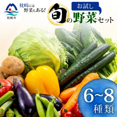 【ふるさと納税】枕崎には野菜もある!!定番・旬のお試し野菜セット Z0-27【配送不可地域:離島】【1535821】