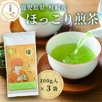 【のし付き・お歳暮】一番茶のみ使用 ほっこり煎茶 100g×3袋 A5-1S【配送不可地域：離島】【1551762】