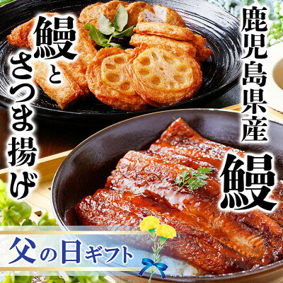 【父の日】うなぎとさつま揚げ詰め合わせセットA6-136F【配送不可地域：離島】【1559593】