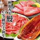 【ふるさと納税】A5等級黒毛和牛&鰻 B1-2【配送不可地域:離島】【1572897】