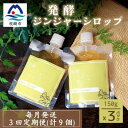 【ふるさと納税】【毎月定期便】発酵ジンジャーシロップ(150g×3個)米入り・優しい甘さ 全3回 LL-6018【配送不可地域:離島】【4050211】