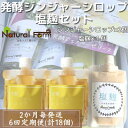 【ふるさと納税】【2ヵ月毎定期便】発酵ジンジャーシロップ&塩麹 全6回 FF-6026【配送不可地域:離島】【4050232】