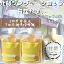 【ふるさと納税】【2ヵ月毎定期便】ジンジャーシロップ&甘麹 全3回 LL-6027【配送不可地域:離島】【4050294】