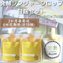 【ふるさと納税】【2ヵ月毎定期便】ジンジャーシロップ&甘麹 全6回 FF-6022【配送不可地域:離島】【4050296】