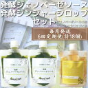 【ふるさと納税】【毎月定期便】ジェノベーゼソース×発酵ジンジャーシロップ 全6回 FF-6015【配送不可地域:離島】【4050342】