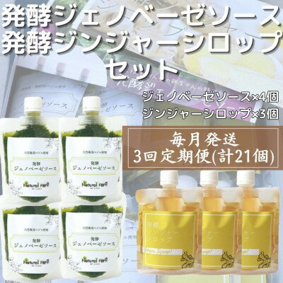 5位! 口コミ数「0件」評価「0」【毎月定期便】ジェノベーゼソース×発酵ジンジャーシロップ(計7個セット) 全3回 NN-2004【配送不可地域：離島】【4050347】