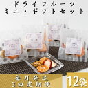 【ふるさと納税】【毎月定期便】枕崎産ドライフルーツミニギフトセット12袋 感謝御礼 お礼 贈り物LL-6044全3回【4050457】