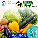 【ふるさと納税】【発送月固定定期便】枕崎の野菜!!定番・旬の野菜お任せセット(5・11・2月)DD0-0008全3回【配送不可地域:離島】【4057567】