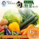 【ふるさと納税】【発送月固定定期便】枕崎には野菜もある!!定番・旬の野菜お任せセット HH0-0002 全6回【配送不可地域:離島】【4057570】