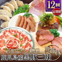 【ふるさと納税】【発送月固定定期便】鹿児島県産黒豚三昧 HH-2全12回【配送不可地域:離島】【4058399】