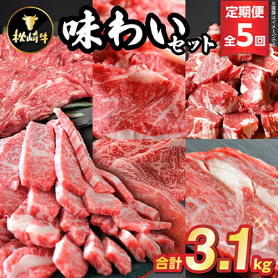 【ふるさと納税】【毎月定期便】枕崎牛味わいセット(赤身ブロック・ステーキ・もも・カルビ等)JJ10-0001 全5回【配送不可地域:離島】【4059346】 【ふるさと納税】【毎月定期便】枕崎牛味わいセット(赤身ブロック・ステーキ・もも・カルビ等)JJ10-0001 全5回【配送不可地域:離島】【4059346】