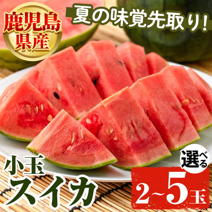 [内容量が選べる!]鹿児島県産 小玉スイカ(2〜5玉) 国産 果物 スイカ すいか 西瓜 フルーツ スイーツ スムージー ジュース 期間限定[松永青果]