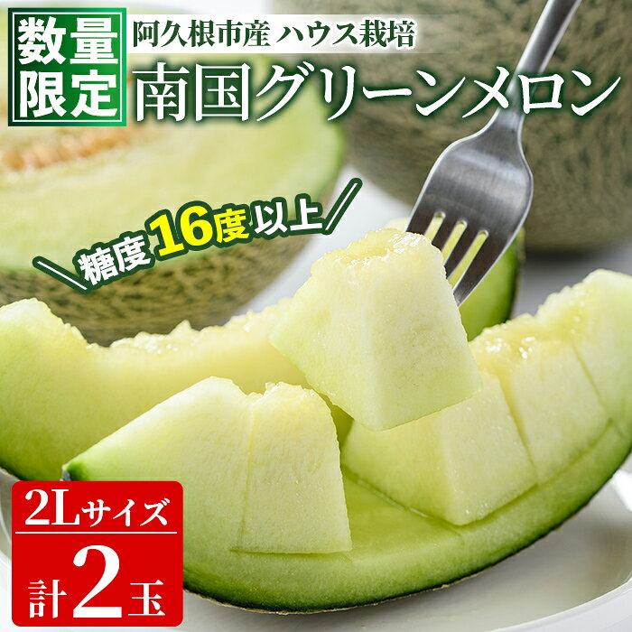 [先行予約受付中!2027年6月中旬以降順次発送予定]数量限定!鹿児島県産 南国グリーンメロン (2Lサイズ×2個) メロン フルーツ デザート 果物 鹿児島 国産 阿久根市産 青肉 ハウス ハウス栽培 期間限定 2L [東新グリーンファーム合同会社]akn062-08
