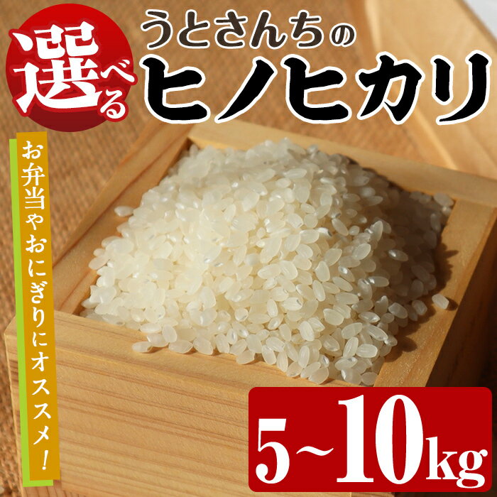 [内容量が選べる!] ヒノヒカリ (5〜10kg) 国産 米 お米 コメ 白米 ひのひかり ごはん ご飯 お弁当 おにぎり[うとさんち]