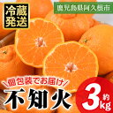 【ふるさと納税】<先行予約受付中!2026年4月上旬以降順次発送予定>数量限定!冷蔵不知火「クールな大将季」(計約3kg) 国産 みかん ミカン 柑橘 フルーツ 果物 旬 デザート 数量限定 阿久根市産 露地 しらぬい シラヌイ 冷蔵 期間限定 クール【三笠農業生産】a-17-21-z(4)