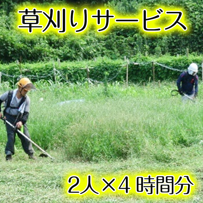 製品仕様 商品名 草刈り作業　2人×4時間分 内容 草刈り作業　2人×4時間分（阿久根市内利用限定） 製造者 シルバー人材センター 商品説明 阿久根市内限定で、草刈り作業2人×4時間分をご利用いただけます。 寄付後の流れ 1,入金確認後、阿...