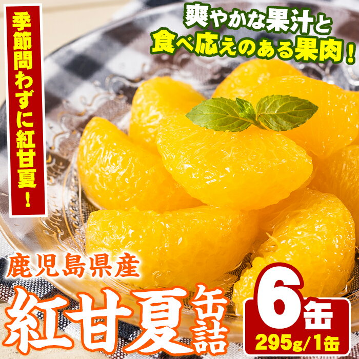 【ふるさと納税】紅甘夏缶詰(295g×6缶) 国産 柑橘 果物 フルーツ あまなつ 加工品 缶詰め デザート おやつ【鹿児島いずみ農業協同組合】a-14-49のサムネイル
