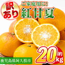 【ふるさと納税】<先行予約受付中!2026年3月上旬以降順次発送予定>訳あり!鹿児島県産まかない紅甘夏(約20kg) 国産 鹿児島産 柑橘 訳アリ 果物 フルーツ 旬 常温保存 紅甘夏 ベニアマナツ 数量限定 期間限定 規格外 デザート 阿久根市産【三笠農業生産】a-14-68-z