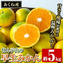 【ふるさと納税】<先行予約受付中!2025年9月下旬以降順次発送予定>数量限定!竹ん子山の早生みかん(約5kg) 国産 鹿児島県産 阿久根産 ミカン 蜜柑 みかん 柑橘 果物 フルーツ 温州みかん 早生みかん 果実 期間限定【竹ん子山】akn097-02