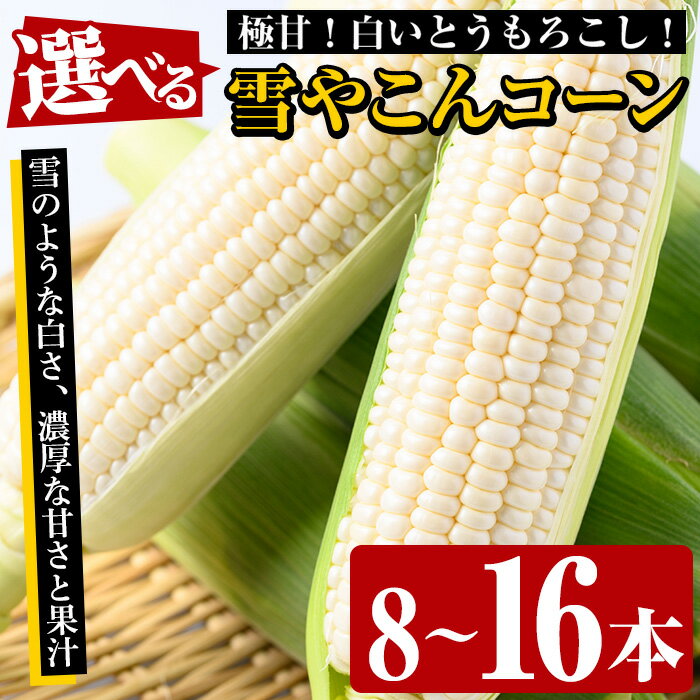 製品仕様 商品名 うとさんちの白いとうもろこし「雪やこんコーン」 内容量 ▼下記容量からお選びいただけます 白いとうもろこし「雪やこんコーン」：8本or16本 ※選択肢により寄附額が異なりますのでご注意ください。 賞味期限 発送日より5日程度ですが、生ものですので、できるだけ早めにお召し上がりください。 保存方法 冷蔵 配送方法 冷蔵 製造者 うとさんち 商品説明 南国鹿児島の真夏の畑で育つ、雪のように白いとうもろこし。 うとさんちのブランド商品「雪やこんコーン」 高糖度を維持するため早朝に収穫。 昨年の糖度はマンゴーやメロンを超える22.0度を記録した、うとさんちの極甘白いとうもろこし。 皮つきのまま1本ずつ個包装のため鮮度も抜群！ この甘さを存分に味わえる“生”で、まずはお召し上がりください。 (収穫直後より鮮度が落ちていきますので、生でのお召し上がりはお届けしたその日のみでお願いします) とうもろこしは、収穫後からどんどん糖度が落ちるため、お早目に召し上がりください。皮も薄くて柔らかく、500Wの電子レンジで3～4分の加熱で美味しく食べられます。（一本分の目安） ※天候や発育によりお届けが前後する場合があります。寄附金の用途について 「ふるさと納税」寄附金は、下記の事業を推進する資金として活用してまいります。 寄附を希望される皆さまの想いでお選びください。 (1) 市におまかせ (2) 観光の振興、施設充実のための事業 (3) 地域産業の振興及びその他地域の活性化のための事業 (4) 自然環境及び地域景観の保全のための事業 (5) 健康・福祉の充実のための事業 (6) 教育環境の充実及び子育て支援のための事業 特にご希望がなければ、市政全般に活用いたします。 受領証明書及びワンストップ特例申請書のお届けについて 入金確認後、注文内容確認画面の【注文者情報】に記載の住所にお送りいたします。 発送の時期は、寄附確認後1ヶ月以内を目途に、お礼の特産品とは別にお送りいたします。 ワンストップ特例制度は、より簡単に税金控除の申請が行える、大変便利な制度です。 適用条件やご利用方法のご案内はこちら からご確認ください。