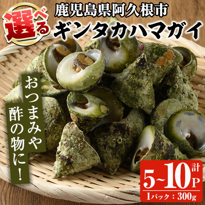 【ふるさと納税】<先行予約受付中!2025年5月以降順次発送予定><内容量が選べる!>数量限定!ギンタカハマガイ(三角みな)ボイル(300g×5〜10P)国産 鹿児島県産 貝 魚介類 おかず 料理 おつまみ【福美丸水産】