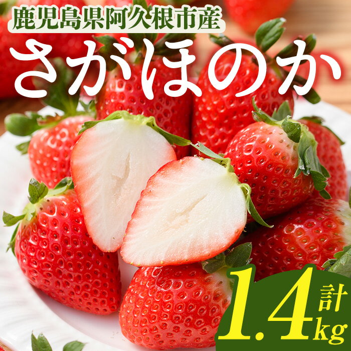 【ふるさと納税】＜先行予約受付中！2026年1月以降順次発送予定＞鹿児島県産 いちご さがほのか (1.4kg) イチゴ 苺 鹿児島県産 国産 ハウス栽培 フルーツ デザート 果物 手作業 数量限定 期間限定 旬【切通優】akn100-01
