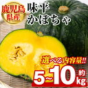 【ふるさと納税】<先行予約受付中!2025年5月以降発送予定><内容量が選べる!>鹿児島県産 味平かぼちゃ(約5~10kg) 国産 野菜 かぼちゃ カボチャ 南瓜 煮物 天ぷら バーベキュー BBQ スイーツ お菓子【松永青果】