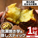 【ふるさと納税】100日熟成蔵出焼き芋(500g)＆はるか蒸しスティック(500g)のセット＜計1kg＞鹿児島県産紅はるか使用