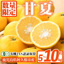 【ふるさと納税】<先行予約受付中!2026年2月上旬以降発送予定><容量が選べる>数量限定!有機JAS 甘夏(約5~10kg) 国産 果実 果物 フルーツ 柑橘 デザート 期間限定 有機栽培【中村農場】