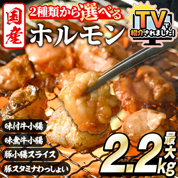 【ふるさと納税】＼テレビで紹介さ
