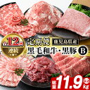 【ふるさと納税】<定期便・全12回(連続)>鹿児島県産 黒毛和牛・黒豚定期便 B (総量約11.9kg以上) 国産 鹿児島県産 黒豚 しゃぶしゃぶ 肩 ロース スライス 訳あり 切り落とし 黒毛和牛 サーロイン ステーキ 黒豚 バラ カタ ウデ 小分け セット 【スターゼン】akn042-36