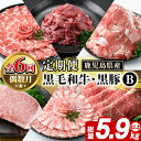 【ふるさと納税】<定期便・全6回(偶数月)>鹿児島県産 黒毛和牛・黒豚 定期便 B (総量5.9kg以上) 国産 鹿児島県産 黒豚 しゃぶしゃぶ 肩 ロース スライス 訳あり 切り落とし 黒毛和牛 サーロイン ステーキ 黒豚 バラ カタ ウデ 小分け セット 【スターゼン】akn042-37