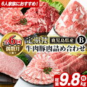 【ふるさと納税】<定期便・全6回(偶数月)>6人家族用!鹿児島県産 牛肉・豚肉 詰め合わせ B (総量9.8kg) 国産 黒豚 しゃぶしゃぶ 肩 ロース スライス 訳あり 切り落とし 黒毛和牛 サーロイン ステーキ 黒豚 バラ カタ ウデ 小分け セット 【スターゼン】akn042-38